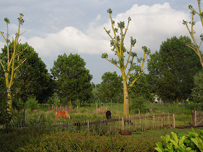 Vinkeveen Vinkeveense plassen, Camping de Tachtig Morgen, atelier, workplace, Lucky Lake Hostel